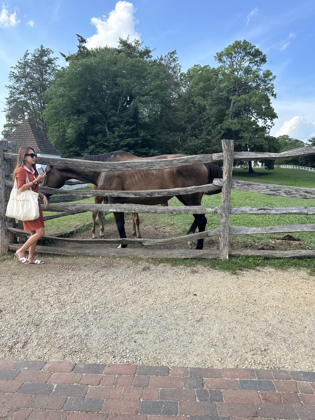 Birthday Surprise in&nbsp;Virginia